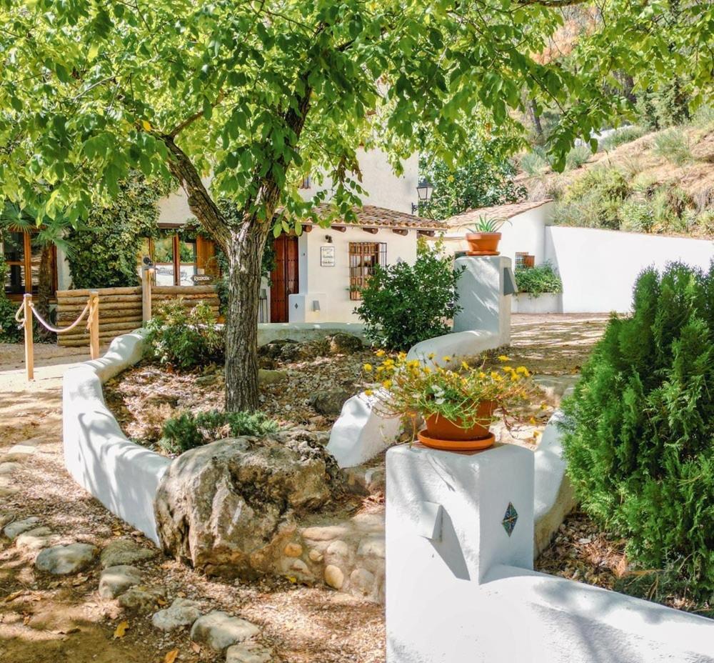 Cortijos Nuevos Cortijo De Ramon 게스트하우스 외부 사진